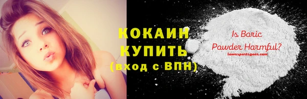твердый Кулебаки