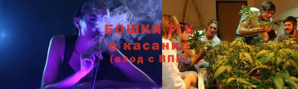 крисы Куйбышев
