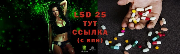 крисы Куйбышев