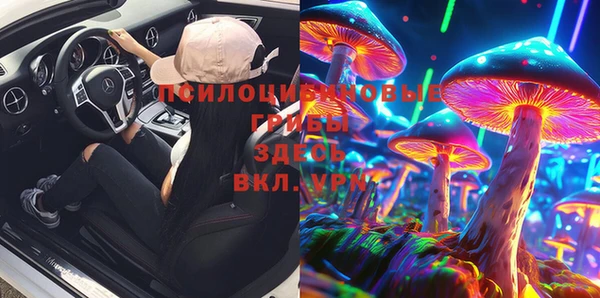 крисы Куйбышев