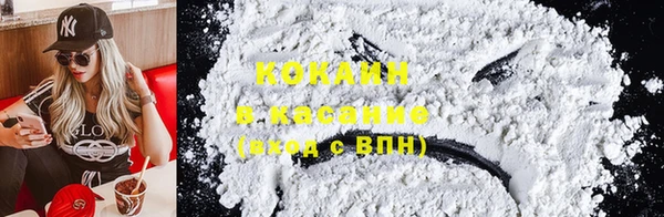 твердый Кулебаки