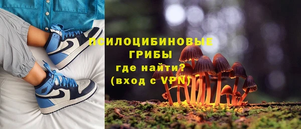 твердый Кулебаки