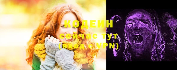 крисы Куйбышев