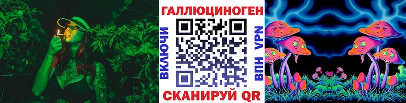 где можно купить   кракен рабочий сайт  Псилоцибиновые грибы Psilocybe  Ногинск 