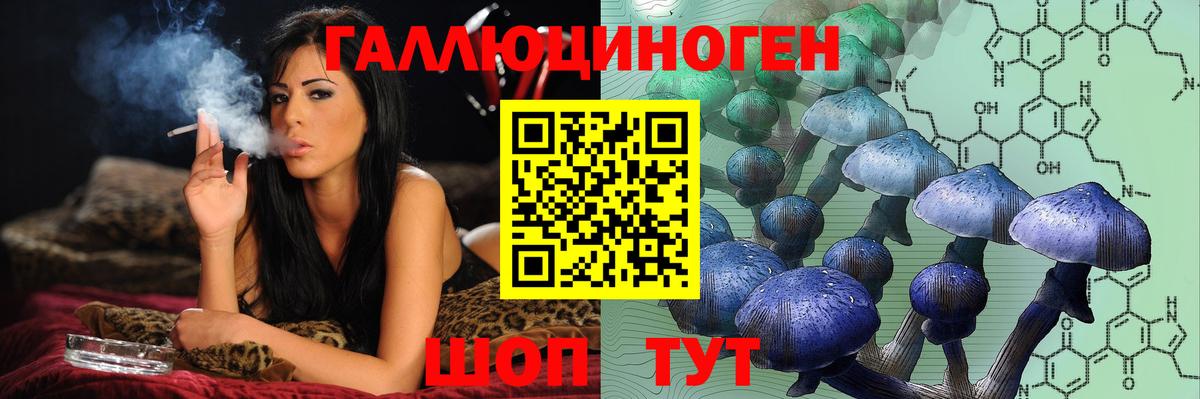 Ногинск  Галлюциногенные грибы Magic Shrooms  Вход с VPN 
