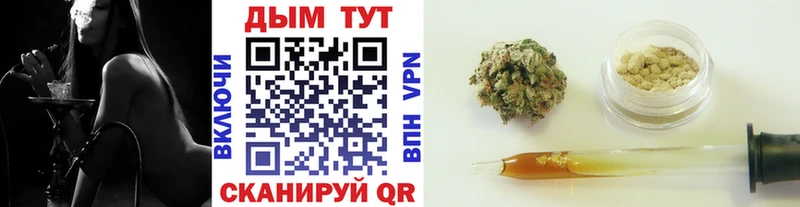 купить   Ногинск  Канабис VHQ 